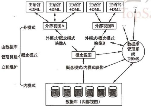 軟考學習筆記 系統(tǒng)架構設計師教程 第二章 計算機網(wǎng)絡基礎知識——計算機系統(tǒng)服務